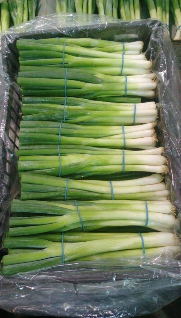 Green Onions
