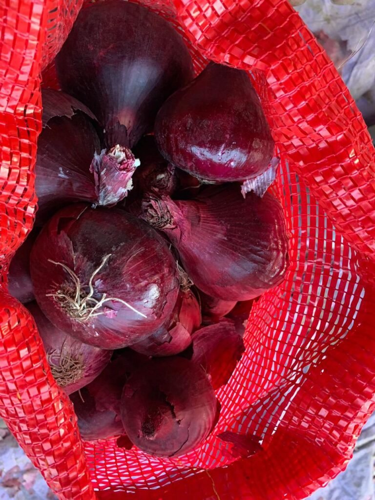 Red Onions