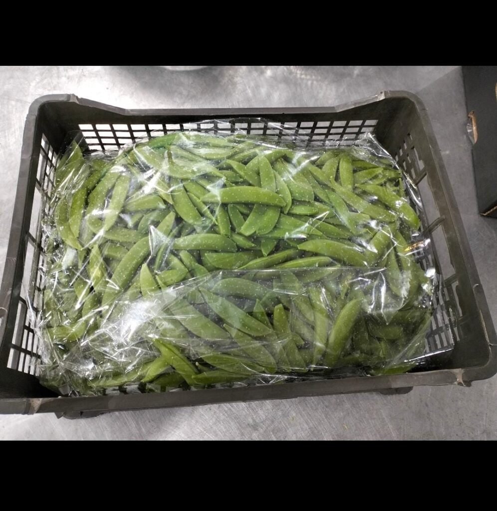 Green Beans