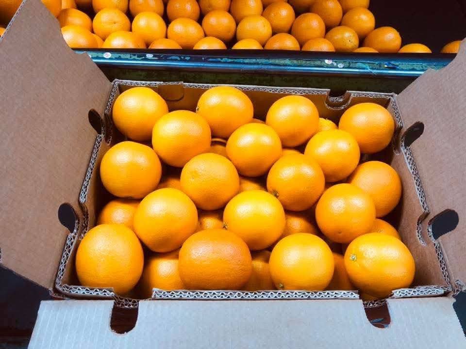 Oranges