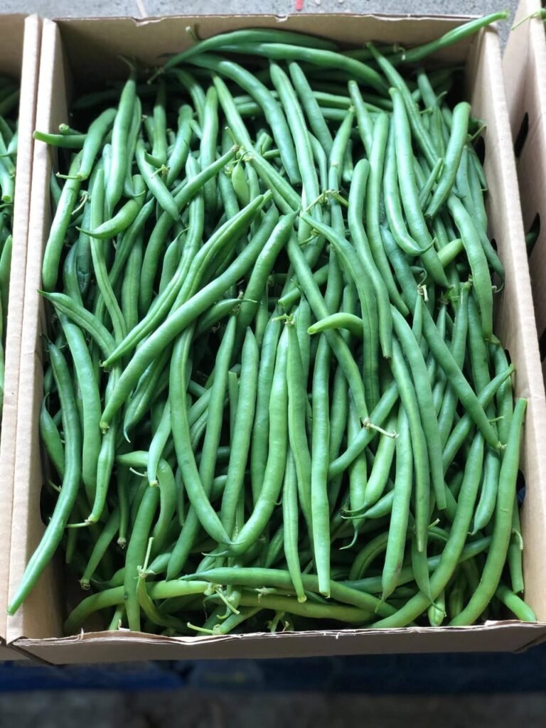 Green Beans