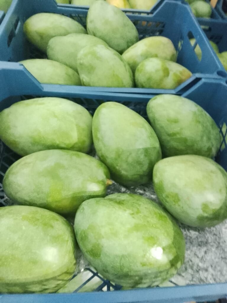 Mangoe