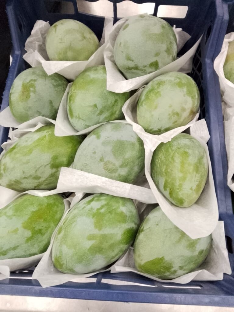 Mangoe