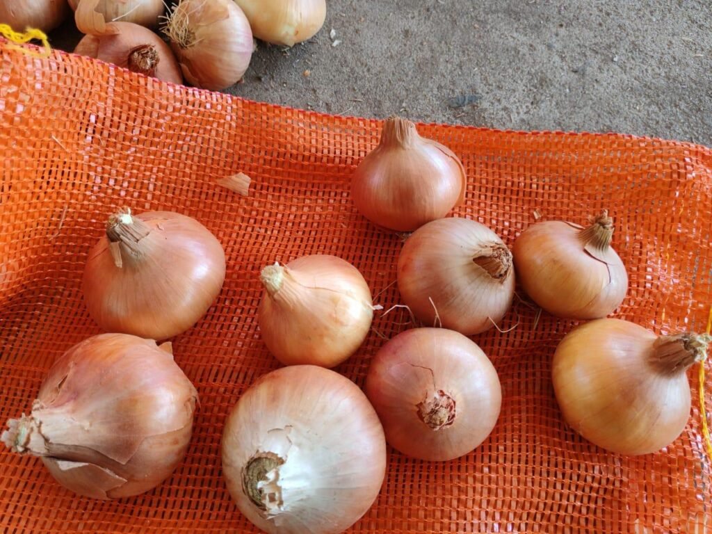 Red Onions