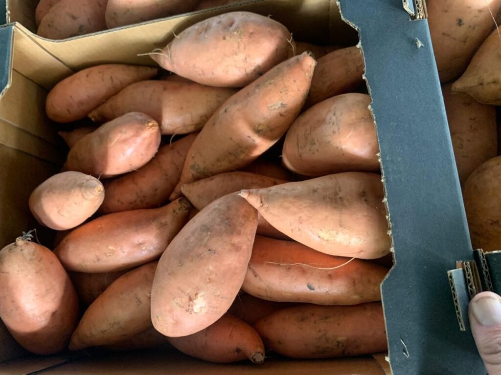 Sweet Potatoes