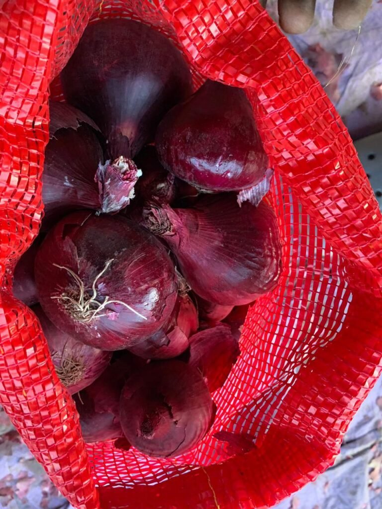 Red Onions