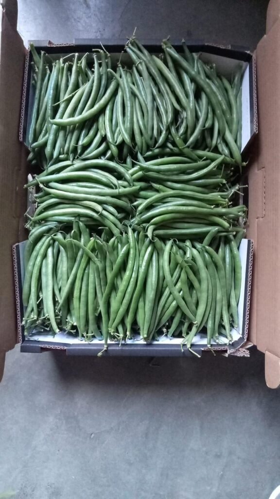 Green Beans