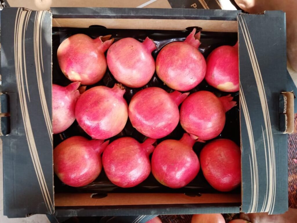 Pomegranates