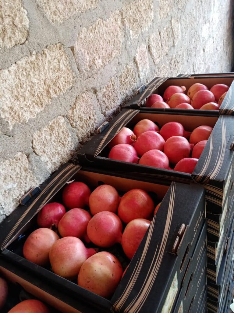 Pomegranates