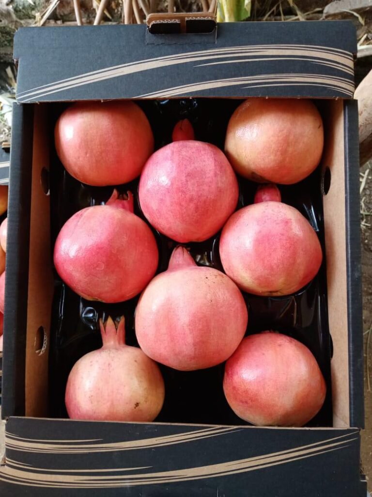 Pomegranates