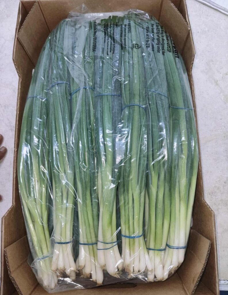 Green Onions