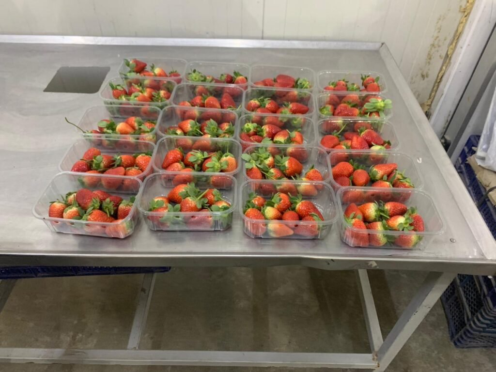 Strawberries