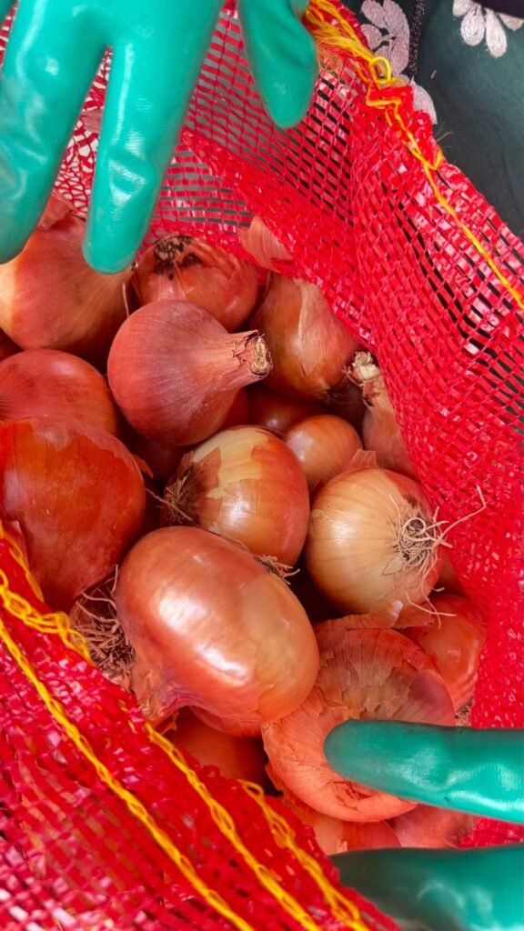 Red Onions