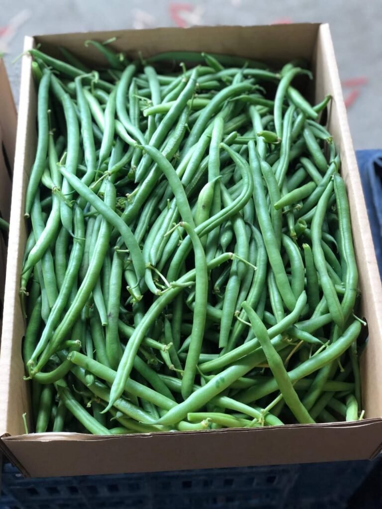 Green Beans