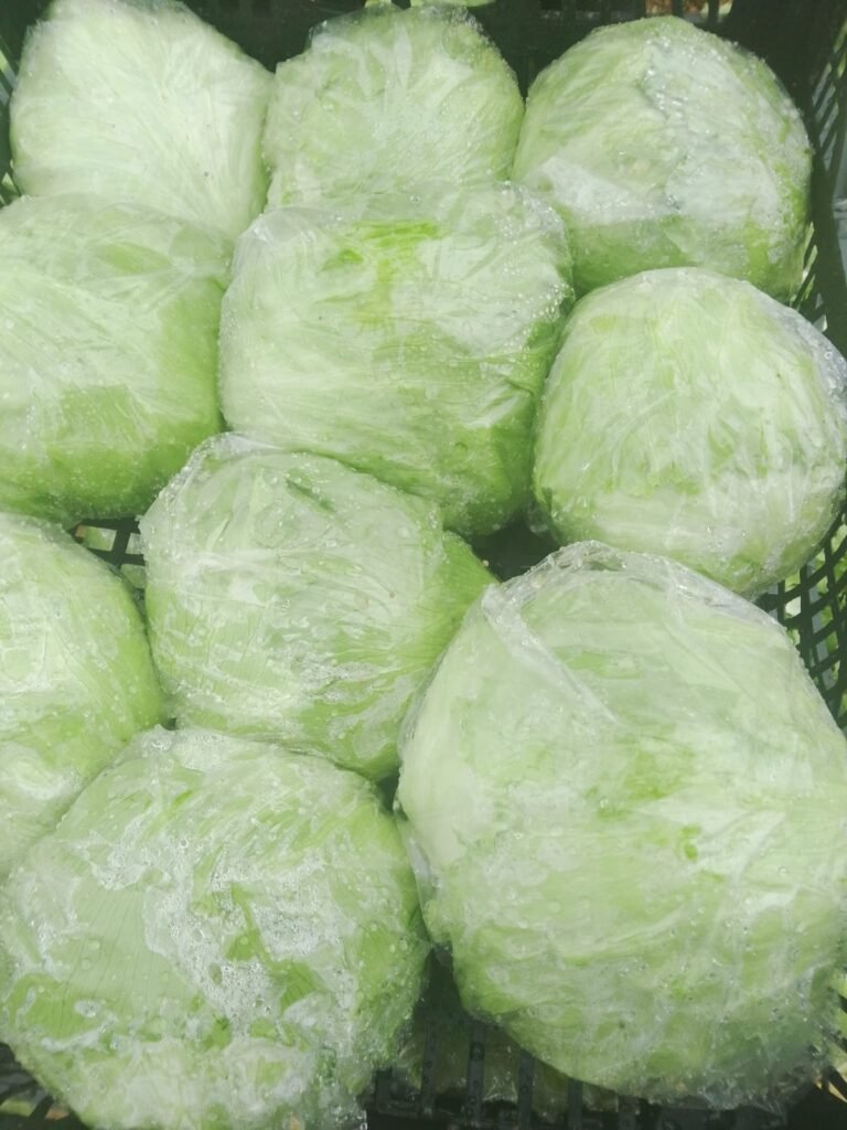 White cabbage