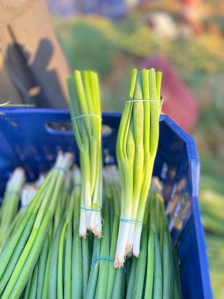 Green Onions