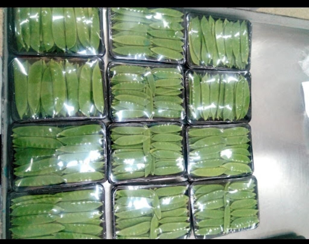 Green Beans
